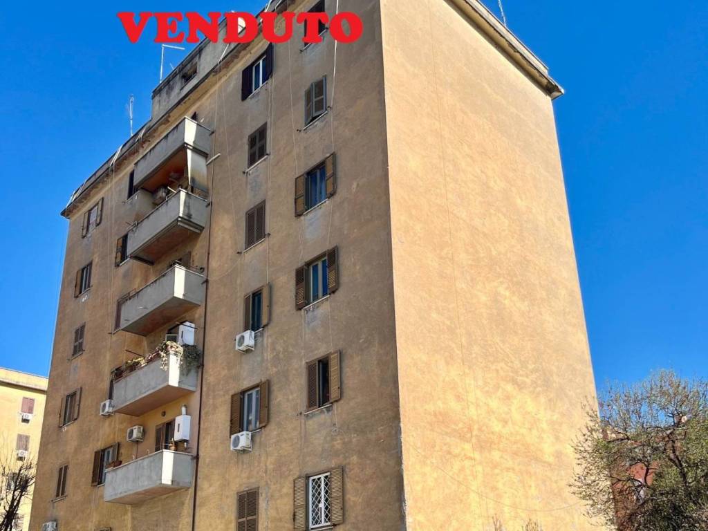 appartamento in vendita a Roma in zona Monte Sacro/Talenti
