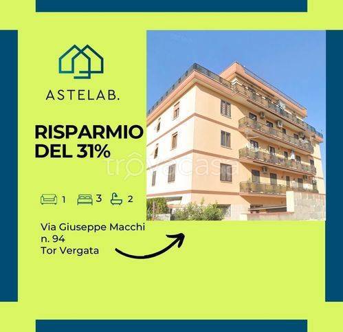 appartamento in vendita a Roma in zona Tor Vergata/Torrenova