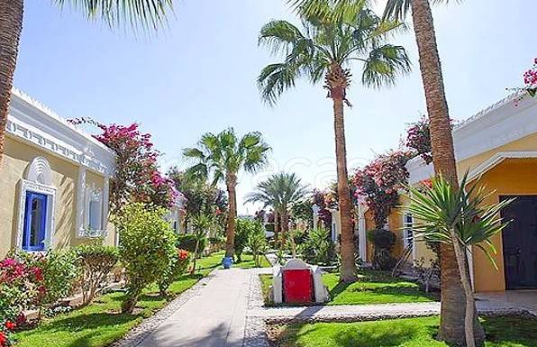 appartamento in vendita a Roma in zona Dragona/Bagnoletto