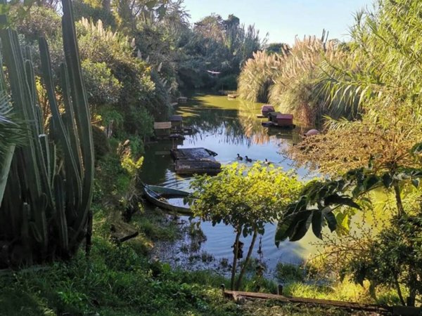 terreno agricolo in vendita a Roma in zona Castel Fusano