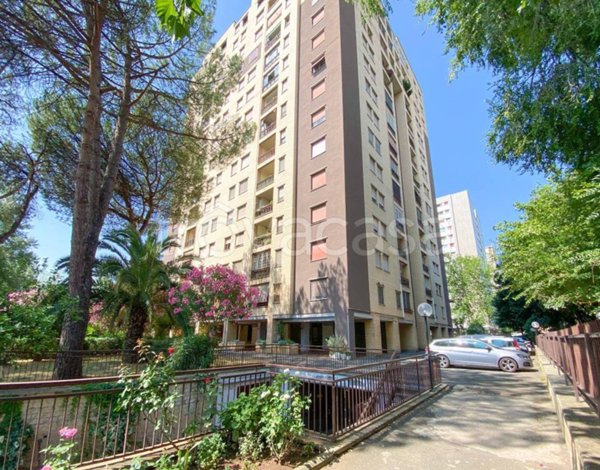 appartamento in vendita a Roma in zona Monte Sacro/Talenti