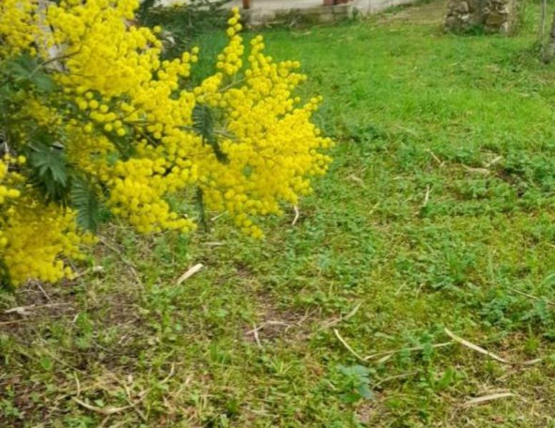 casa indipendente in vendita a Roma in zona Casal Palocco