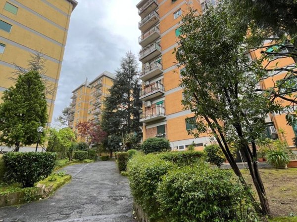 appartamento in vendita a Roma in zona Monte Sacro/Talenti