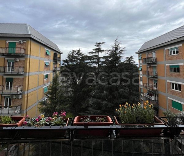 appartamento in vendita a Roma in zona Salario