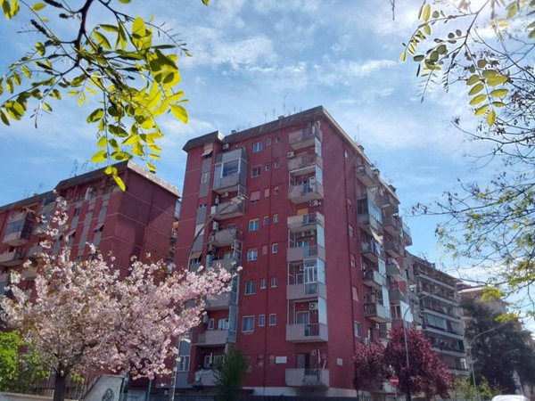 appartamento in vendita a Roma in zona Pietralata