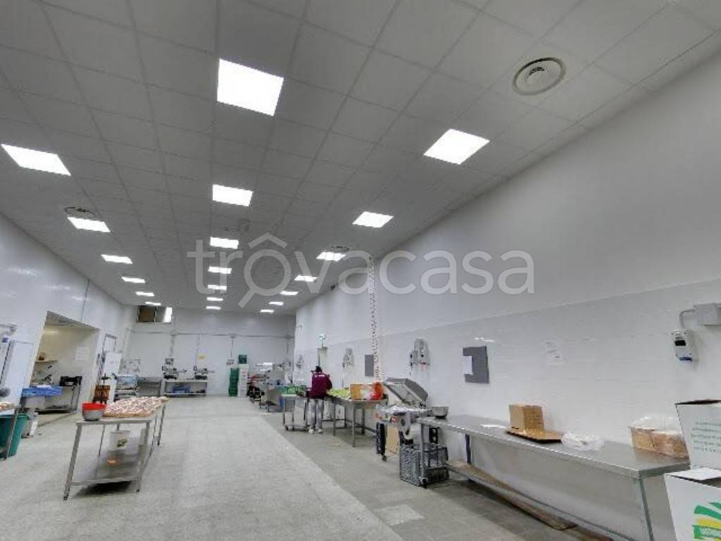 locale commerciale in vendita a Roma in zona Tor Sapienza