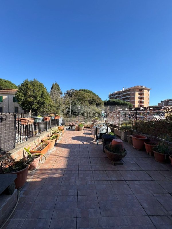 esavano in vendita a Roma in zona Trionfale