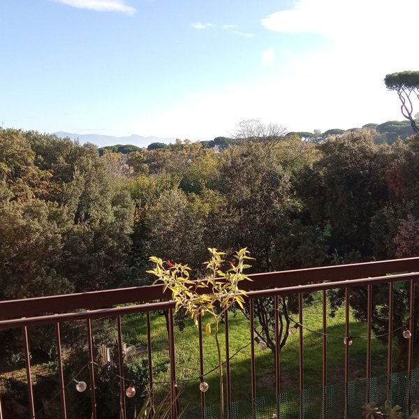 appartamento in vendita a Roma in zona Ponte Mammolo