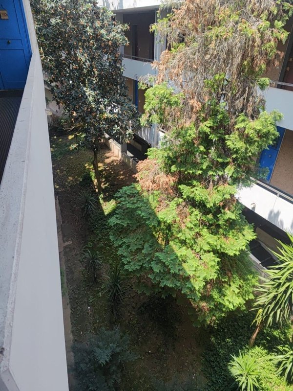 appartamento in vendita a Roma in zona Olgiata