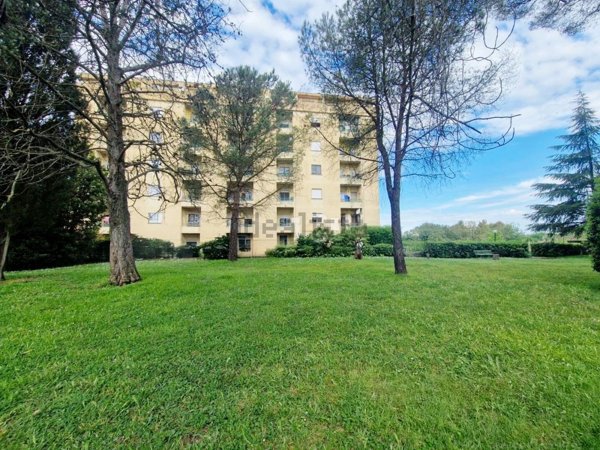 appartamento in vendita a Roma in zona Selva Candida