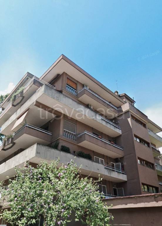 appartamento in vendita a Roma in zona Trieste
