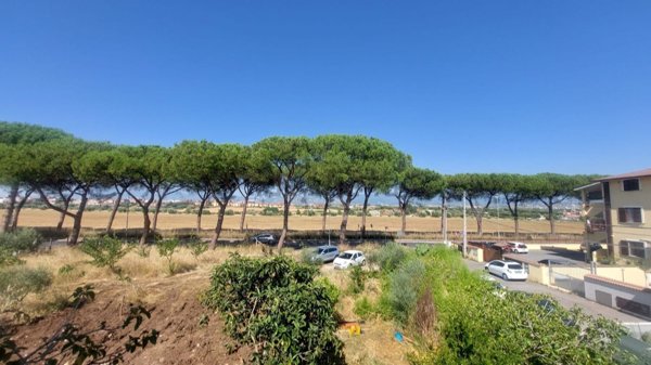 appartamento in vendita a Roma in zona Lunghezza