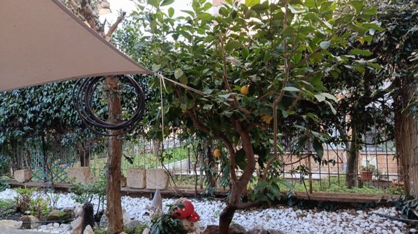 appartamento in vendita a Roma in zona Torre Maura