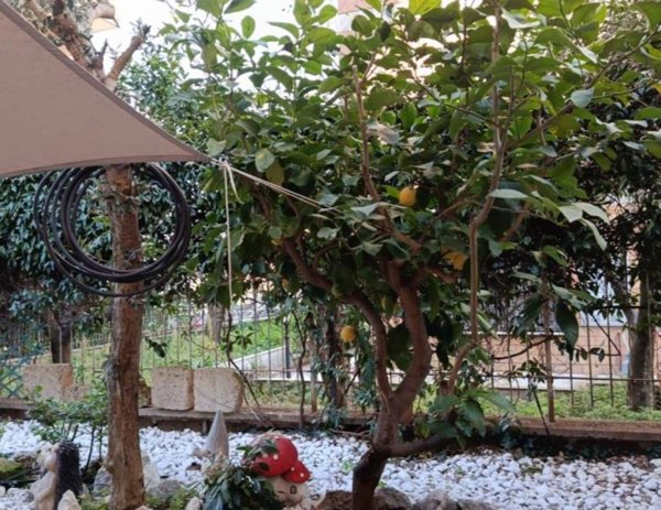 appartamento in vendita a Roma in zona Torre Maura