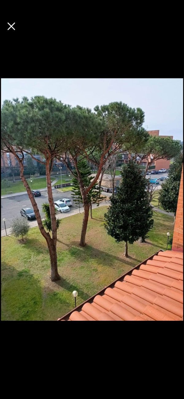 appartamento in vendita a Roma in zona Casal Palocco