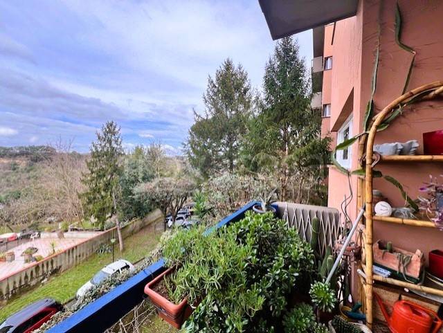 appartamento in vendita a Roma in zona Grottarossa