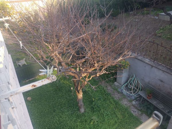 appartamento in vendita a Roma in zona Acilia