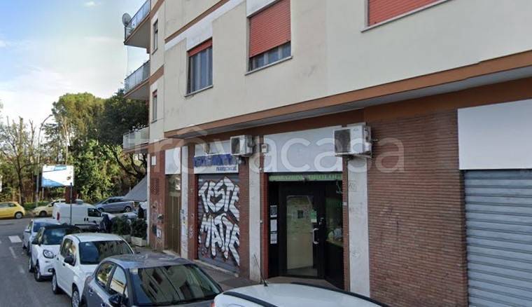 negozio in vendita a Roma in zona Monte Sacro/Talenti