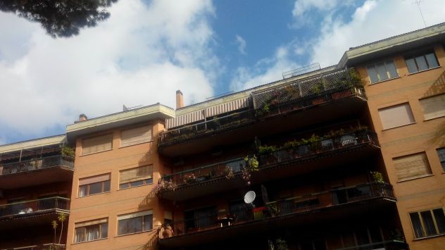 appartamento in vendita a Roma in zona Monte Sacro/Talenti