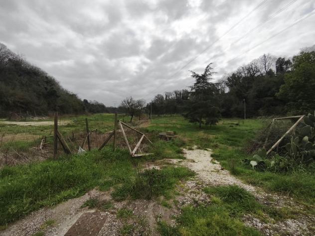 terreno agricolo in vendita a Roma in zona Massimina/Casal Lumbroso