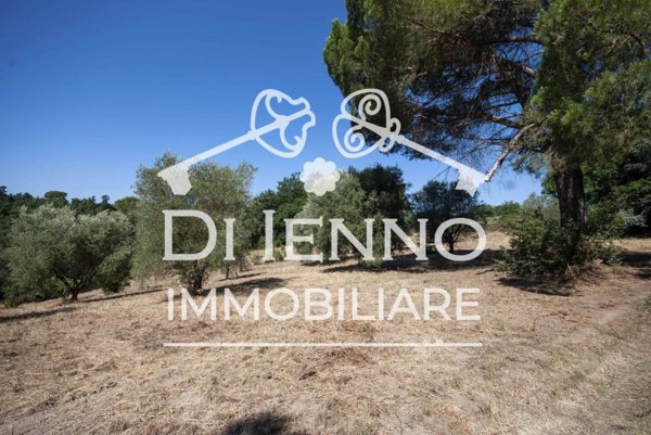 terreno agricolo in vendita a Roma in zona Flaminio