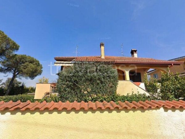 appartamento in vendita a Roma in zona Tor Vergata/Torrenova