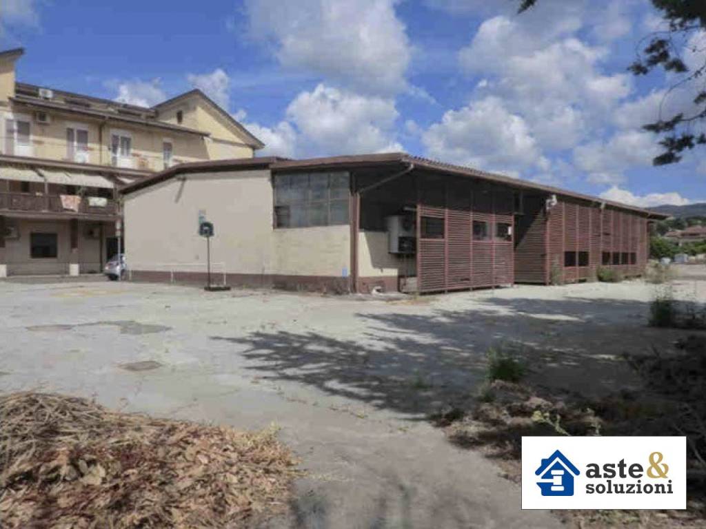 locale commerciale in vendita a Roma in zona Tor Vergata/Torrenova