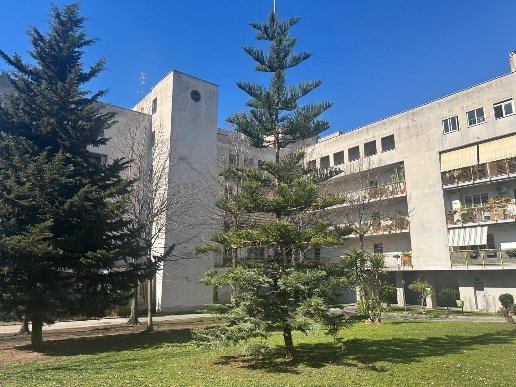 appartamento in vendita a Roma in zona Casal Palocco