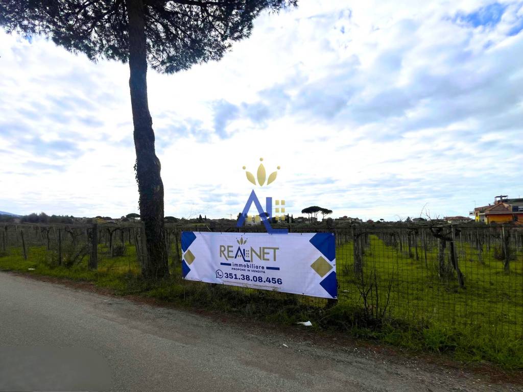 terreno agricolo in vendita a Roma in zona Tor Vergata/Torrenova