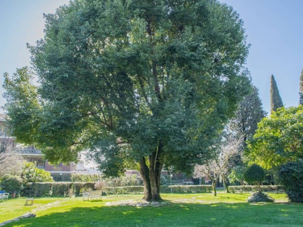 appartamento in vendita a Roma in zona Tor di Quinto