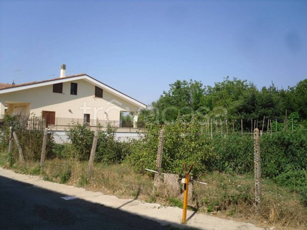terreno agricolo in vendita a Roma in zona Cesano