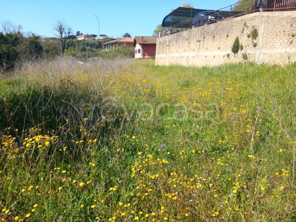 terreno agricolo in vendita a Roma in zona Portuense