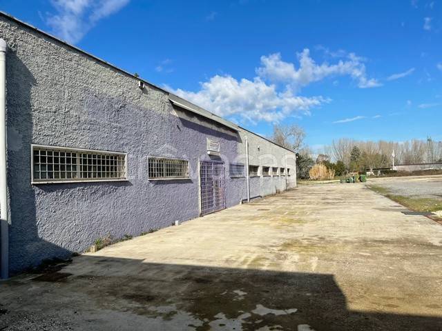 locale commerciale in vendita a Roma in zona Salario