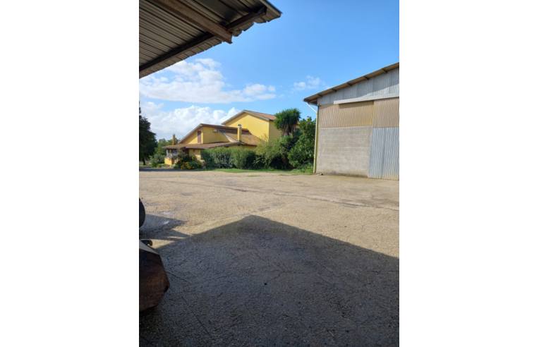 casa indipendente in vendita a Roma in zona Cesano