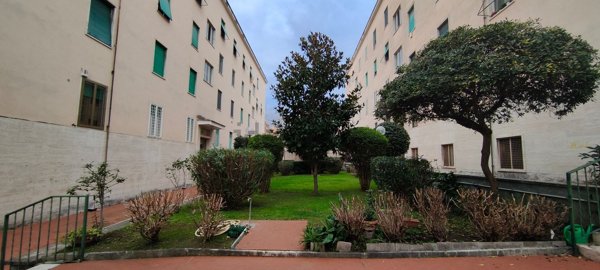 appartamento in vendita a Roma in zona Monte Sacro/Talenti