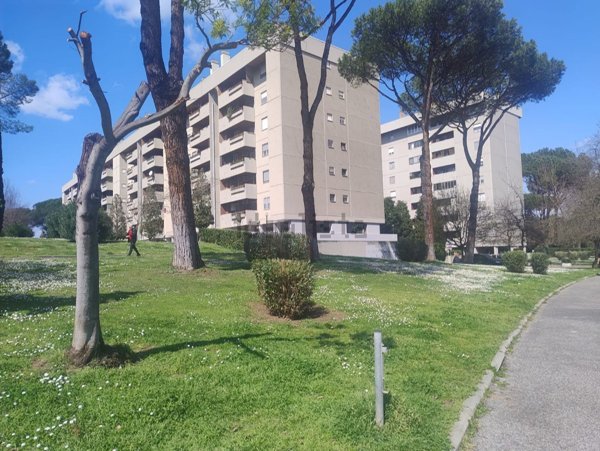 appartamento in vendita a Roma in zona Casal Boccone