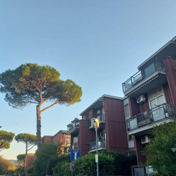 appartamento in vendita a Roma in zona Torre Gaia