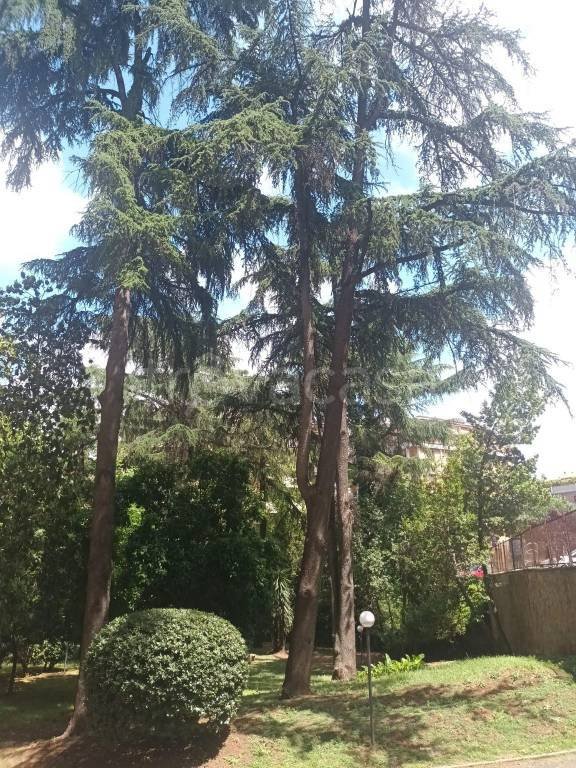 appartamento in vendita a Roma in zona Ardeatino