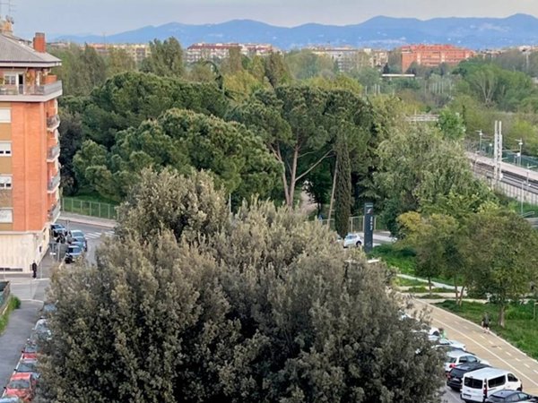 appartamento in vendita a Roma in zona Monte Sacro/Talenti