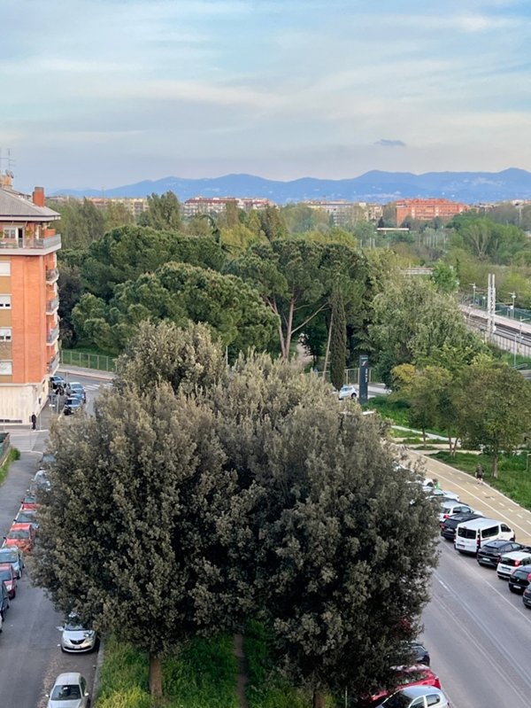 appartamento in vendita a Roma in zona Monte Sacro/Talenti