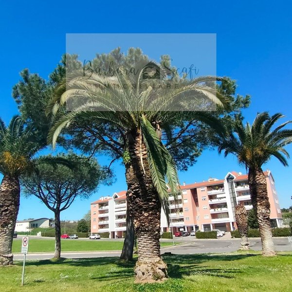 appartamento in vendita a Roma in zona Colle del Sole