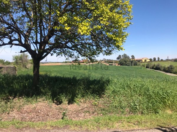terreno agricolo in vendita a Roma in zona Casalotti