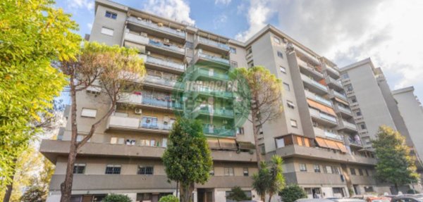 appartamento in vendita a Roma in zona Pietralata
