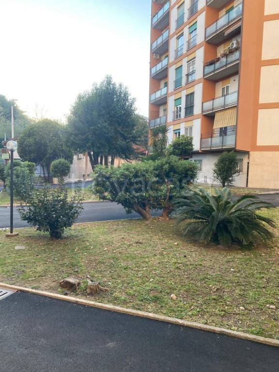 appartamento in vendita a Roma in zona Salario