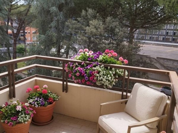 appartamento in vendita a Roma in zona Torrevecchia