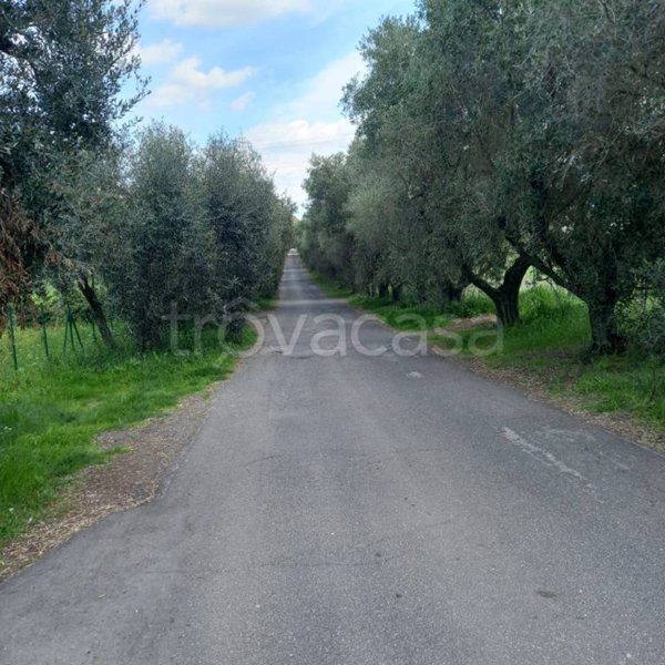 terreno edificabile in vendita a Roma in zona Trigoria