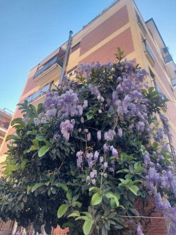 appartamento in vendita a Roma in zona Gianicolense