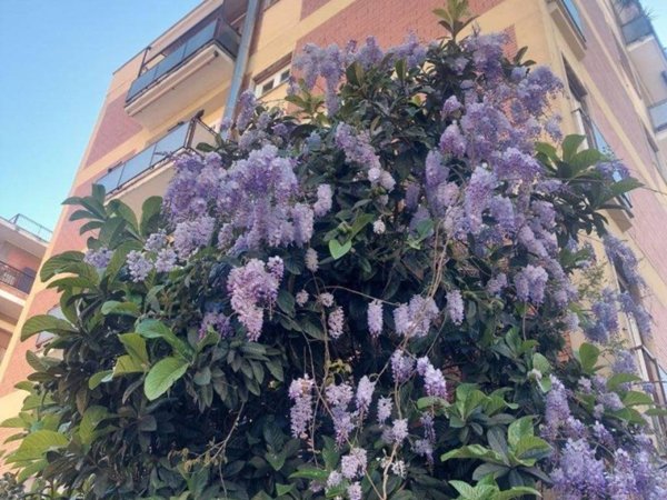 appartamento in vendita a Roma in zona Gianicolense