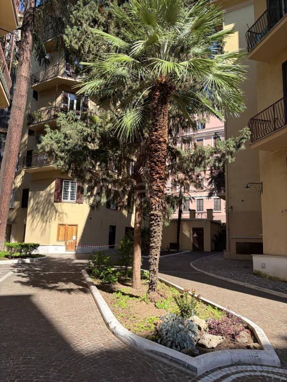 appartamento in vendita a Roma in zona Parioli