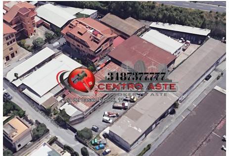 casa indipendente in vendita a Roma in zona Tor Vergata/Torrenova